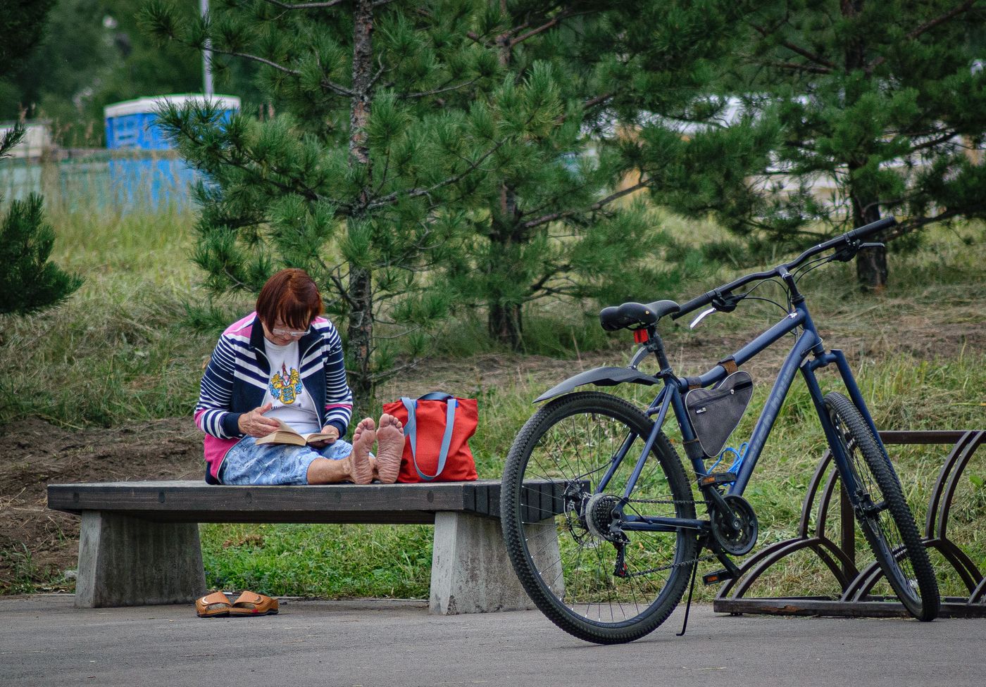 A person reading on a park bench beside a bicycle.
