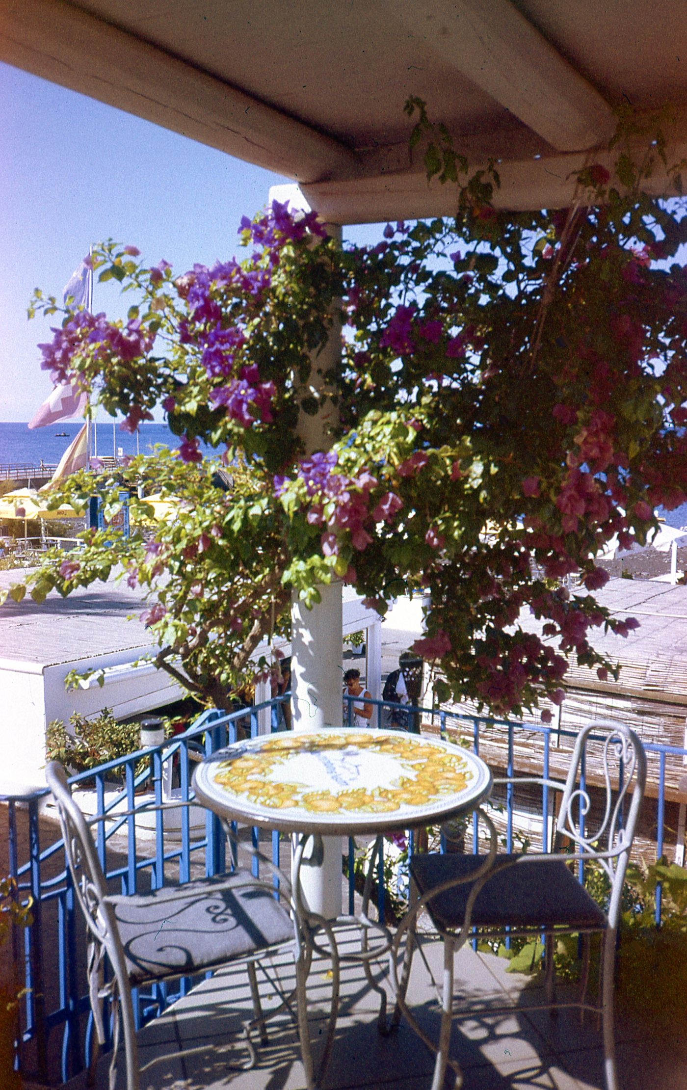 A small round outdoor table with two chairs beneath flowering branches.