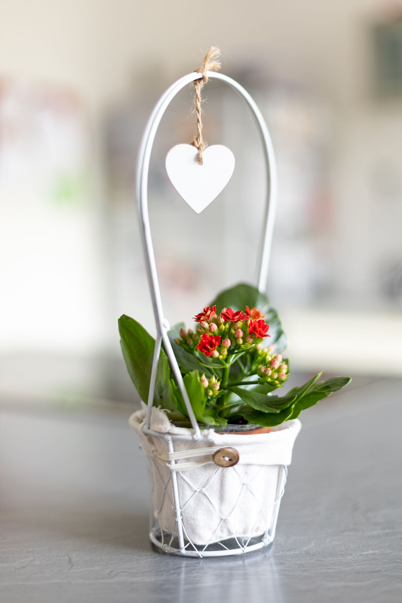 A flowering potted plant presented in a white basket.